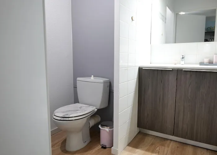 Avec Piscine Commune - Quartier Pironnière - 4 Personnes Appartement